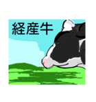 酪農に使える牛さんスタンプ Part2（個別スタンプ：16）