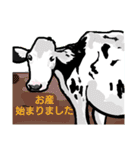 酪農に使える牛さんスタンプ Part2（個別スタンプ：17）