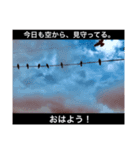 関東拠点のmusicalバンドCABARETの日常会話（個別スタンプ：5）