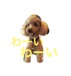 愛犬レイバック2（個別スタンプ：10）