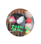 私んちの動物達（個別スタンプ：1）