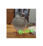 私んちの動物達（個別スタンプ：8）