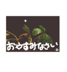 あえて手書きの文字メッセージ（個別スタンプ：6）