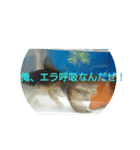 悟った金魚ver2（個別スタンプ：7）