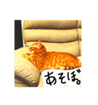 いつも眠たいねこずのほんわか日和（個別スタンプ：4）