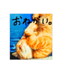 いつも眠たいねこずのほんわか日和（個別スタンプ：5）