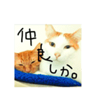 いつも眠たいねこずのほんわか日和（個別スタンプ：38）