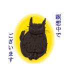 黒猫まこち（個別スタンプ：21）