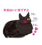 黒猫まこち（個別スタンプ：25）