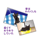 黒猫まこち3（個別スタンプ：16）