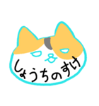 ねこ 日常会話スタンプ（個別スタンプ：6）