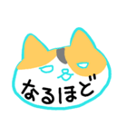 ねこ 日常会話スタンプ（個別スタンプ：7）