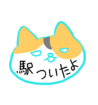 ねこ 日常会話スタンプ（個別スタンプ：10）