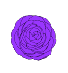 薔薇と椿【紫】（個別スタンプ：2）