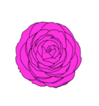 薔薇と椿【紫】（個別スタンプ：18）