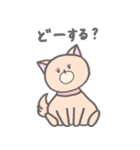 ふんわりわんこ。（個別スタンプ：34）