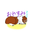 愛犬ギルスタンプ(シェルティ)（個別スタンプ：3）