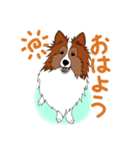 愛犬ギルスタンプ(シェルティ)（個別スタンプ：4）