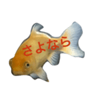 うちの金魚の一言2（個別スタンプ：8）