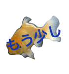 うちの金魚の一言2（個別スタンプ：13）