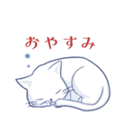 真っ白な猫（個別スタンプ：6）