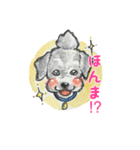 関西弁のもひかん犬（個別スタンプ：11）