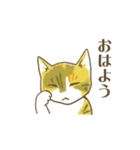 STRUMMERの猫（個別スタンプ：2）