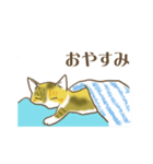 STRUMMERの猫（個別スタンプ：3）