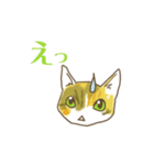 STRUMMERの猫（個別スタンプ：4）