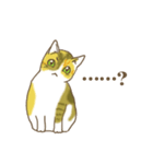 STRUMMERの猫（個別スタンプ：5）