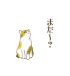 STRUMMERの猫（個別スタンプ：8）