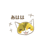 STRUMMERの猫（個別スタンプ：11）