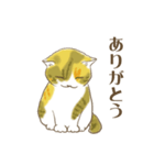 STRUMMERの猫（個別スタンプ：15）