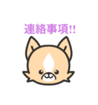 SHIBUYA DOGandCAT STARS（個別スタンプ：6）