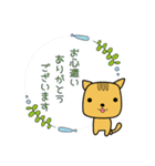 ねこのちゃ（個別スタンプ：16）