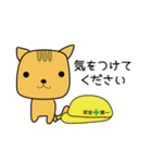 ねこのちゃ（個別スタンプ：19）