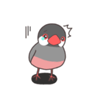 黒いオカメと文鳥（個別スタンプ：31）