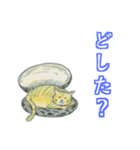 貝中ホ乳類ネコ（個別スタンプ：3）