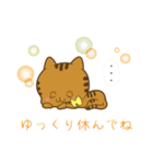 bondの猫ちゃんスタンプ（個別スタンプ：11）