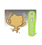 bondの猫ちゃんスタンプ（個別スタンプ：19）