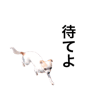 気持ちを代弁してくれる犬（個別スタンプ：7）