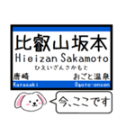 関西 湖西線 この駅だよ！タレミー（個別スタンプ：5）