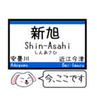 関西 湖西線 この駅だよ！タレミー（個別スタンプ：17）