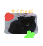 黒猫まんじゅう（個別スタンプ：1）