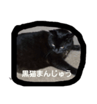 黒猫まんじゅう（個別スタンプ：7）