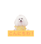 ブラン クレア（個別スタンプ：21）