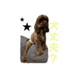 ふうぎんかん(よく使う言葉)（個別スタンプ：16）