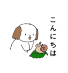 シーズー犬日常会話3☆雨の日（個別スタンプ：25）