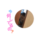 れあいりぷ（個別スタンプ：9）