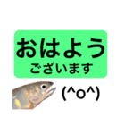 【デカ文字版】鮎釣り中に使えるスタンプ（個別スタンプ：2）